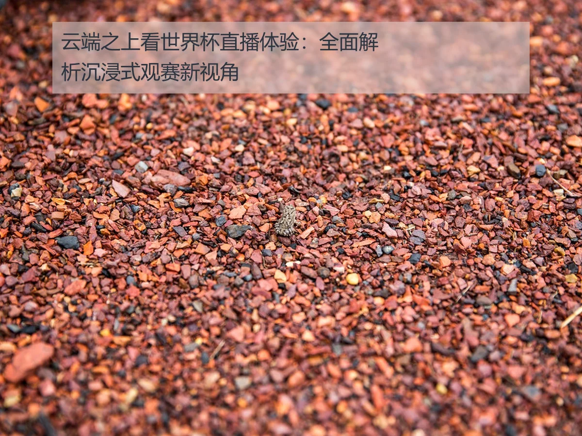 云端之上看世界杯直播体验:全面解析沉浸式观赛新视角